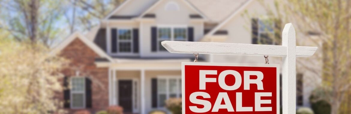 Why You Need a Real Estate Agent